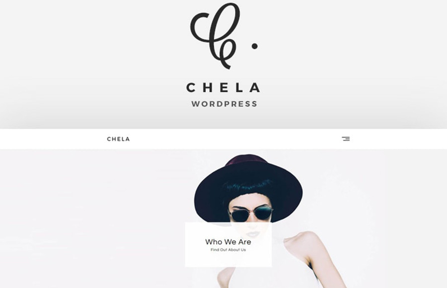 Chela - A Minimal Agency WordPress Theme